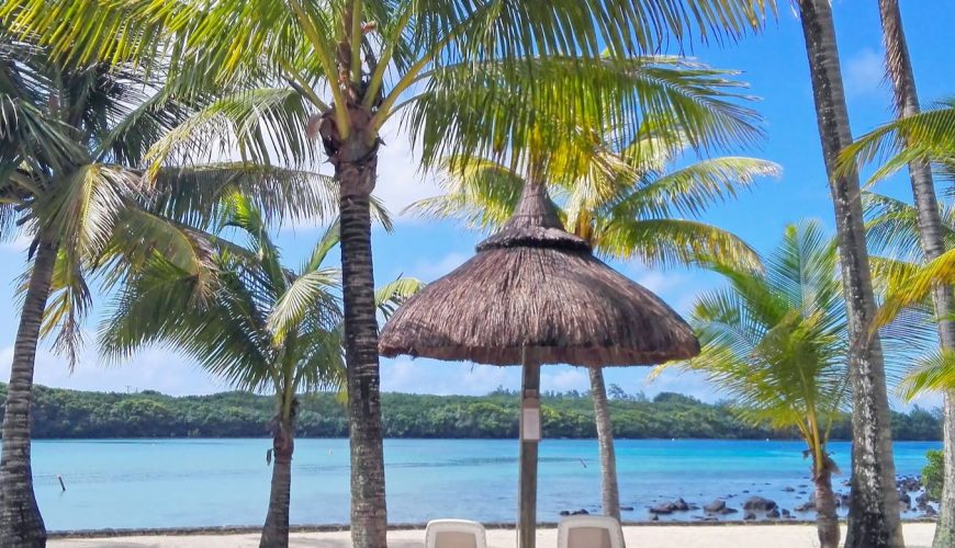 travel kenya with tribal tours kenya