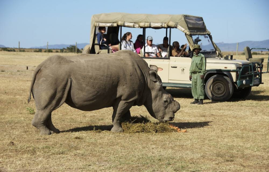 Ol Pejeta Conservancy