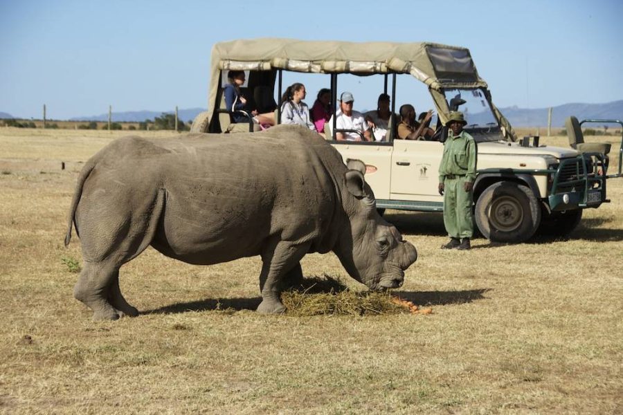 Ol Pejeta Conservancy