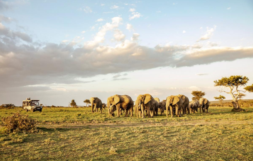 Ol Kinyei Conservancy