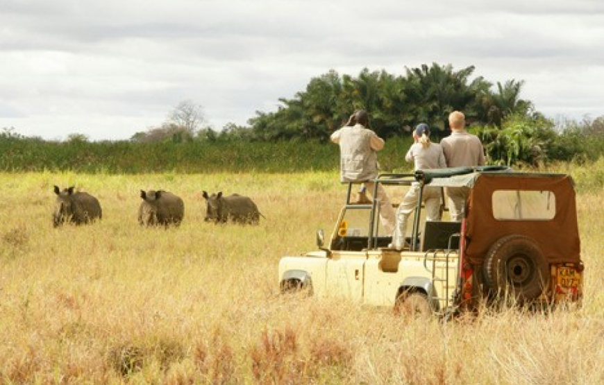 Meru National Park