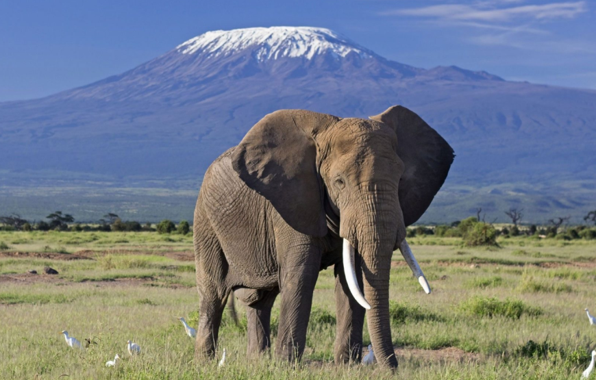 Amboseli National Park