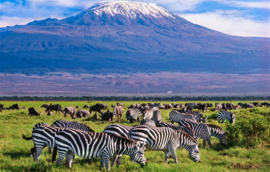 Amboseli National Park