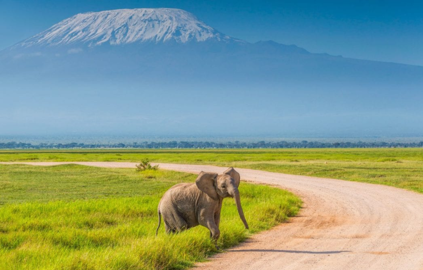 Amboseli National Park