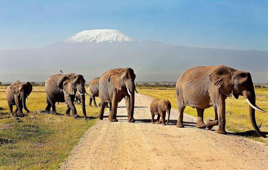 Amboseli National Park