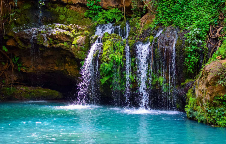 Ngare Ndare Conservancy