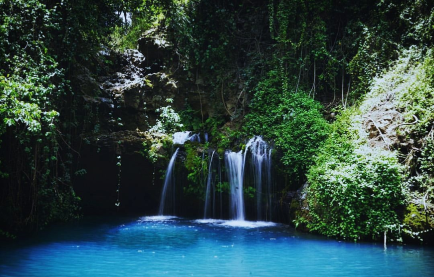 Ngare Ndare Conservancy