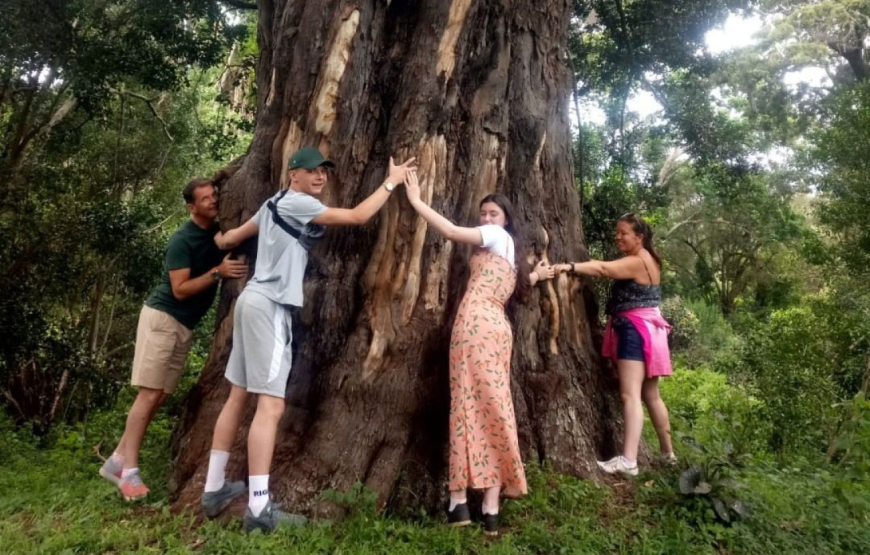 Ngare Ndare Conservancy