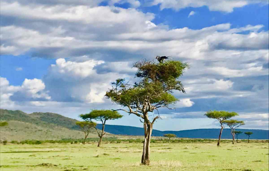 Enonkishu Conservancy