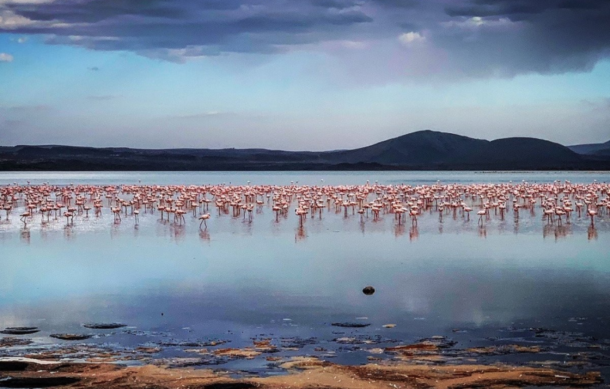 The Soysambu Conservancy