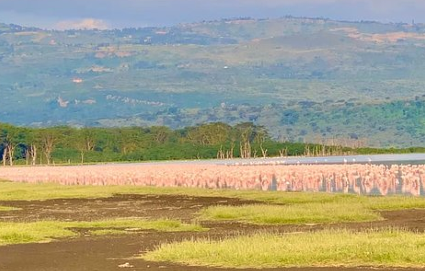 The Soysambu Conservancy