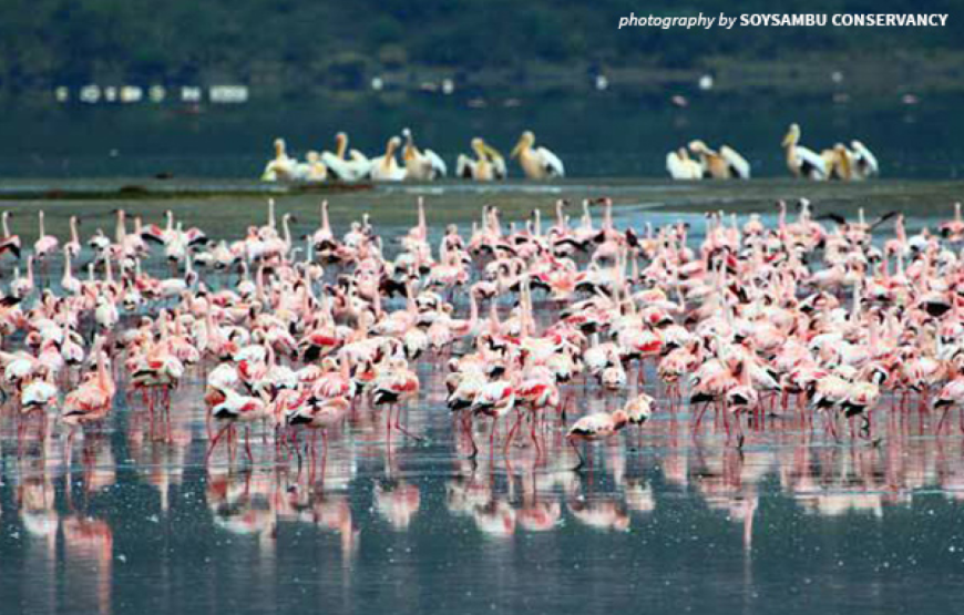 The Soysambu Conservancy