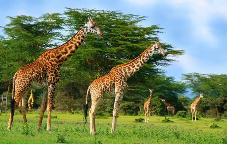 Crescent Island Game Sanctuary