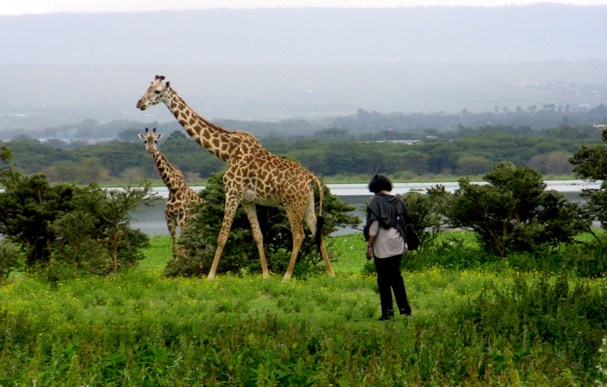 Crescent Island Game Sanctuary