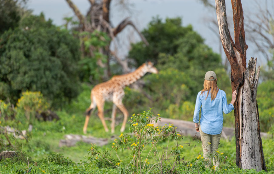 Crescent Island Game Sanctuary