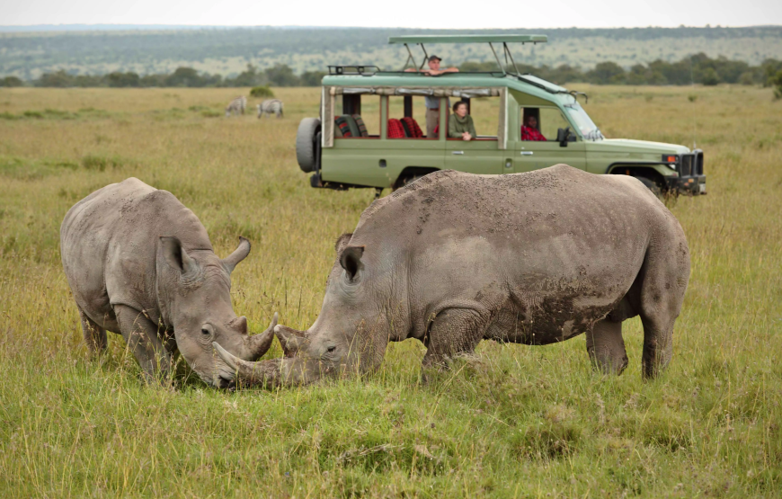 Ol Pejeta Conservancy