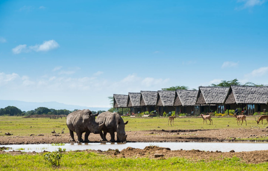 Ol Pejeta Conservancy